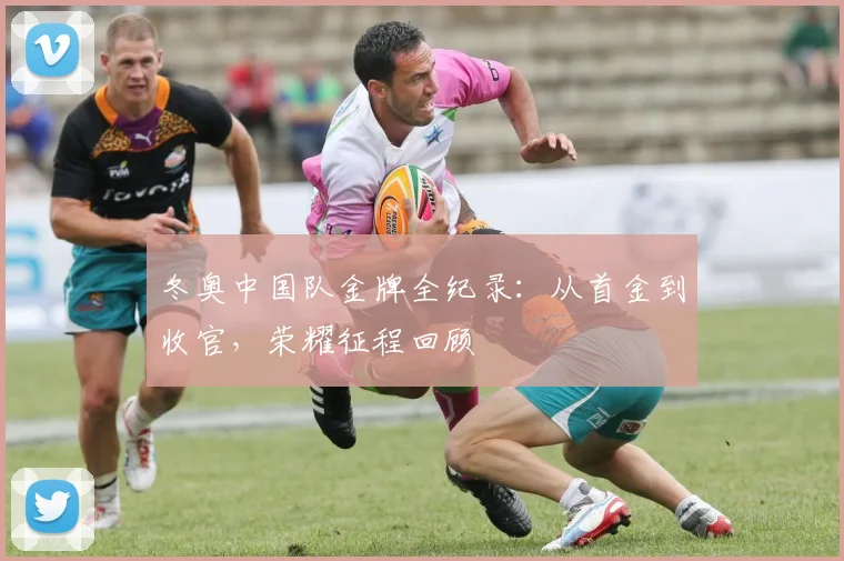 冬奥中国队金牌全纪录：从首金到收官，荣耀征程回顾