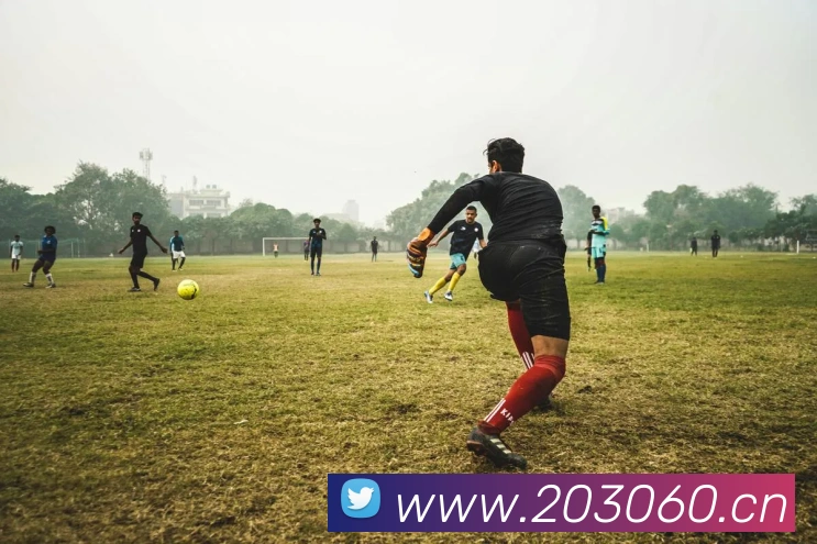 米兰体育在线登录入口平台生态图